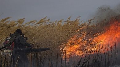 آتشسوزی ۱۷۰۰ از تالاب هورالعظیم را خاکستر کرد/ موافقت رئیس جمهور با سند گردشگری تالاب شادگان