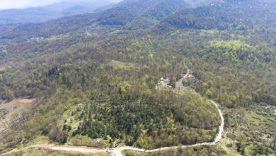 آغاز تدوین سیاستهای تبدیل منابع طبیعی به داراییهای مولد و پایدار