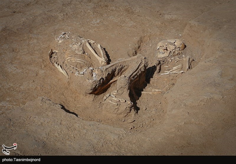 آغاز فصل دوم تعیین حریم تپه باستانی قلعهبالای بیجار + تصاویر