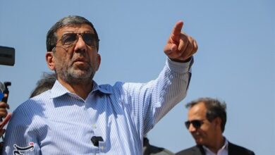 آغاز مذاکره برای حذف روادید بین ایران و کشورهای عضو اکو