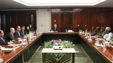 آمادگی ایران برای صدور فناوری تولید انرژی برقآبی به نیجر