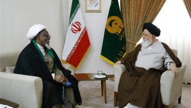 آیتالله علمالهدی با شیخ زکزاکی دیدار کرد + تصویر