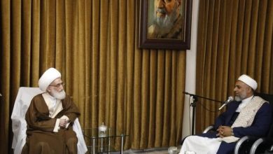 آیتالله نوری همدانی: باید تا محو کامل اسرائیل پیش رفت/ کل استکبار جهانی پشت این سفاکان ایستادهاند