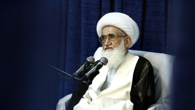 آیتالله نوری همدانی: سران کشورهای اسلامی بجای بیانیه اقدام عملی کنند