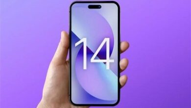 آیفون ۱۴ رجیستر میشود/ استاندارد: برای واردات میلیونها خودرو آماده هستیم