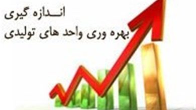 ابلاغ شیوهنامه سنجش بهرهوری شرکتهای دولتی