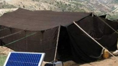 اجرای طرح چهارگانه تنوع در اشتغال و معیشت جامعه عشایری/ وام ۷ ساله پرداخت میکنیم