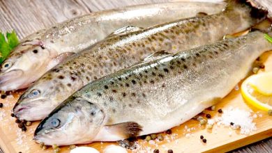 ارزانسازی، سهم آبزیان را در بازار افزایش میدهد