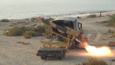 امیر شیخ: ۱۲ نوع پهپاد انهدامی و رزمی وارد سازمان ارتش میشوند