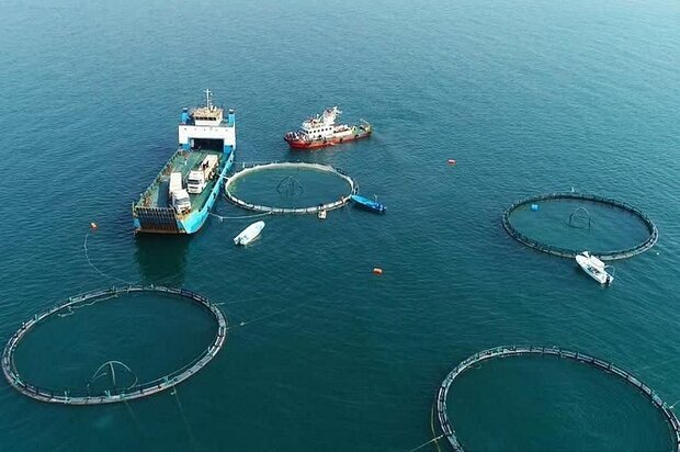 انعقاد تفاهمنامه همکاری توسعه فعالیتهای شیلاتی در مناطق آزاد