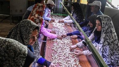 ایجاد 45 هزار شغل از طریق تعاونیها در سال جاری