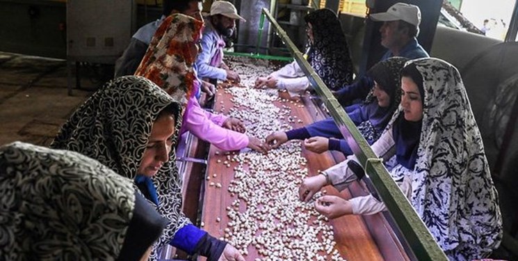 ایجاد 45 هزار شغل از طریق تعاونیها در سال جاری