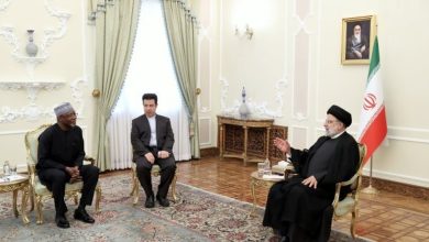 ایران برای همکاری در حوزههای سودمند اقتصادی با نیجر آمادگی دارد