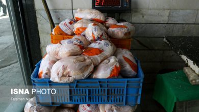 بازار مرغ آرام است/ مغازهداران نرخ مصوب را رعایت میکنند