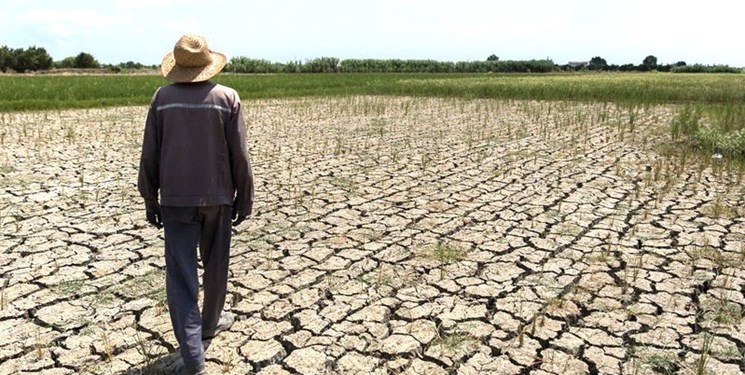 برنامه عراق برای مقابله با خشکسالیهای پیش رو