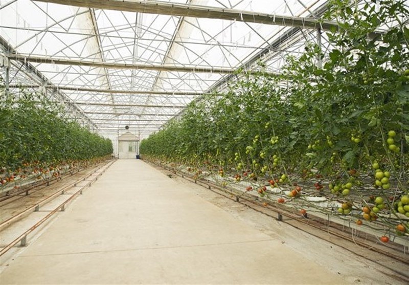 تاکید دادستان همدان بر رفع مشکل ۴ ساله پروژه شهرک گلخانهای گنبد