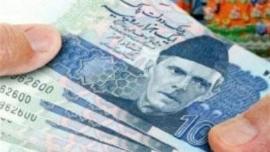 تاکید رئیسکل بانک مرکزی پاکستان بر توسعه روابط بانکی و مالی با ایران