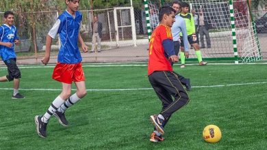 تخصیص ۲۲ میلیارد تومان برای اجرا طرحهای ورزشی درون مدرسهای استان بوشهر