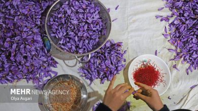 تشکلها به بازار زعفران وارد میشوند