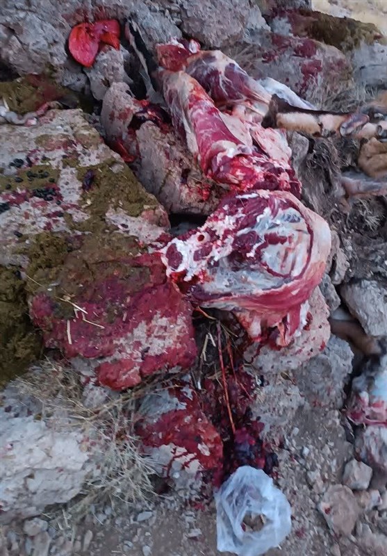 پایش و نظارت در محیط زیست ,