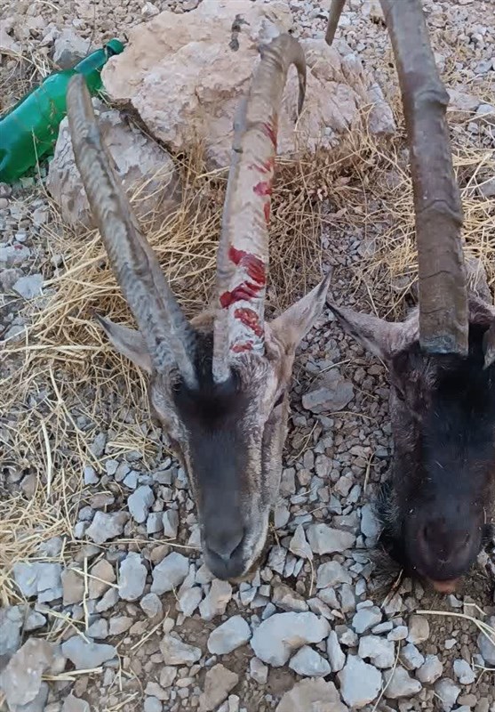 پایش و نظارت در محیط زیست ,