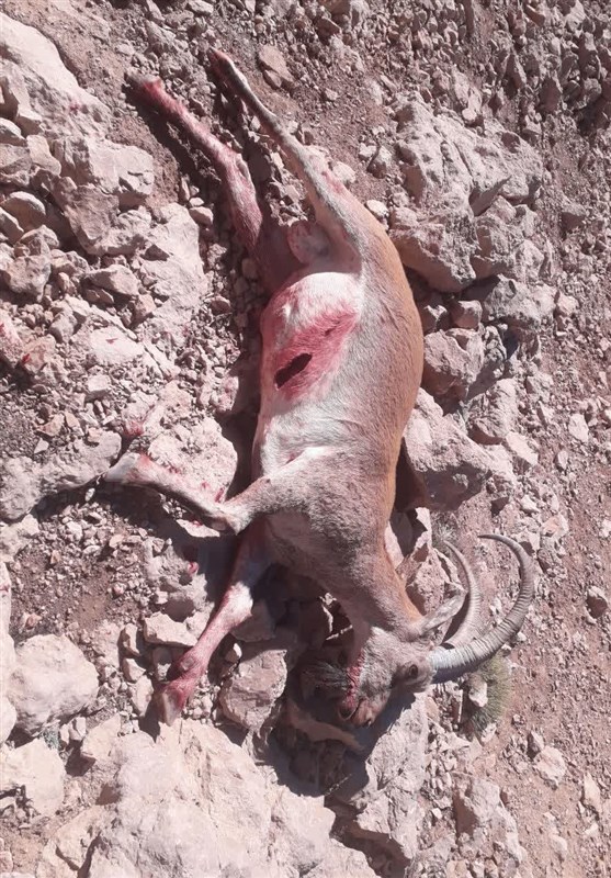 پایش و نظارت در محیط زیست ,