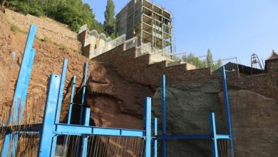 تهدید تغییر اراضی به باغ گیاهشناسی رسید