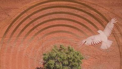 توسعه پایدار از مهمترین اهداف و سیاستهایی شهرهای خلاق جهان است