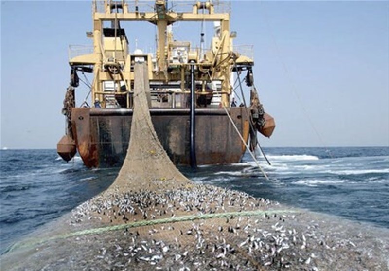 توقیف لنج ترال پاکستانی و کشف آبزیان دریایی در چابهار
