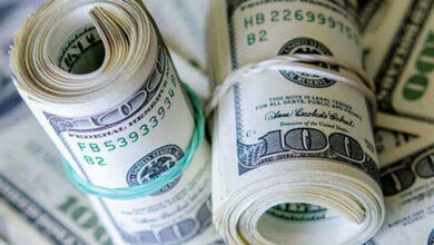 ثبات نرخ ارز تداوم خواهد داشت/ پیشبینی نرخ دلار تا پایان سال