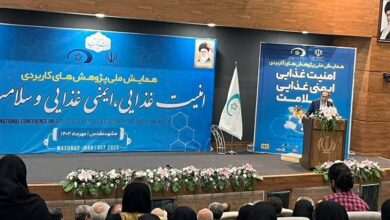 جایگاه ایران در حوزه رژیم غذایی سالم نامطلوب است/ غذای ایمن تولید نمیکنیم