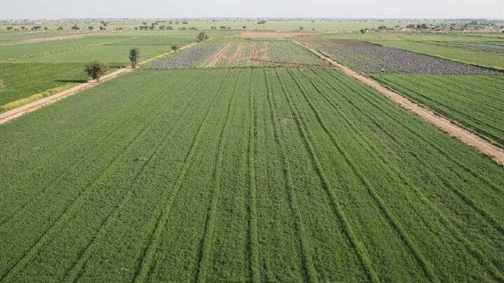 جایگاه مدیریت امور اراضی استانها باید تقویت شود