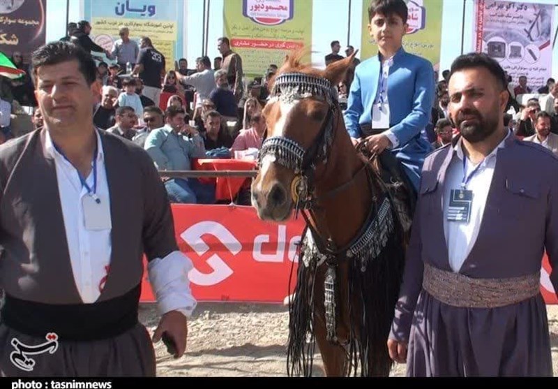 استان کردستان ,