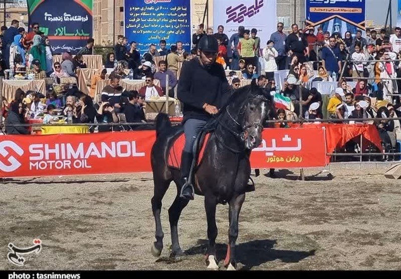 استان کردستان ,