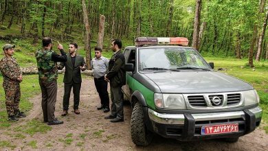 جنگلخواری با ترفند وقف/ جنگلها و مراتع ملک شخصی نیستند که قابل وقف باشند