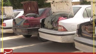 جولان شوتی سواران خطرناک و ارابههای مرگ در خراسان جنوبی