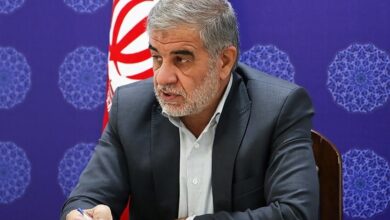 جوکار: رئیسجمهور نامهای درباره شفافیت به رهبری نداده است/ مصوبه مجلس در وضعیت بنبست قرار دارد