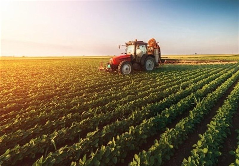 خراسان شمالی ظرفیت تبدیلشدن به قطب کشاورزی کشور را دارد