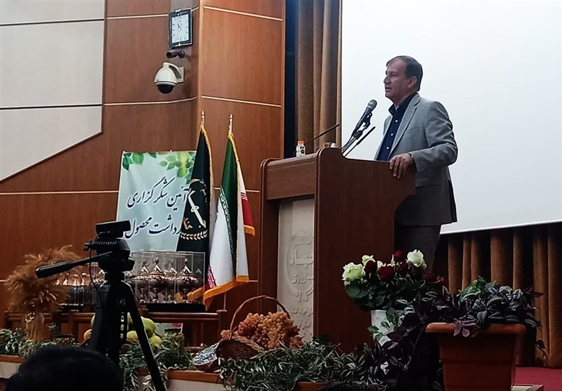 خروج سالانه ۶۵۰ میلیون دلار ارز از کشور برای واردات موز/ پیشبینی تولید ۳۹۰ هزار تن پسته