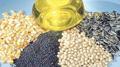 درخواست برای صفرشدن سود بازرگانی واردات روغن خام و دانههای روغنی