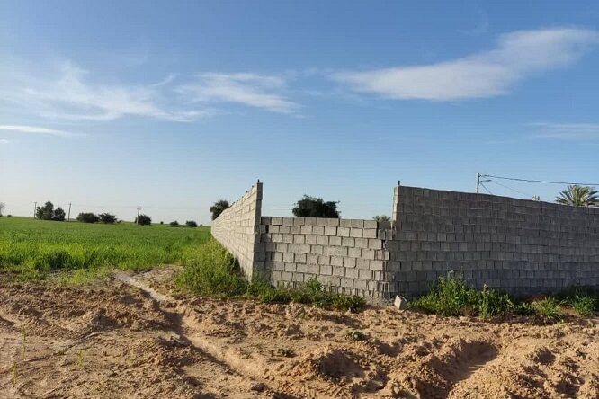 دفاتر املاک فاقد مجوز برای حفظ اراضی کشاورزی و باغات پلمپ میشود