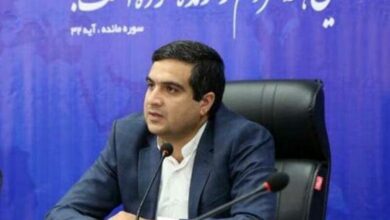 دلالان با عرضه عمده زعفران به بازار موجب ضرر زعفرانکاران میشوند