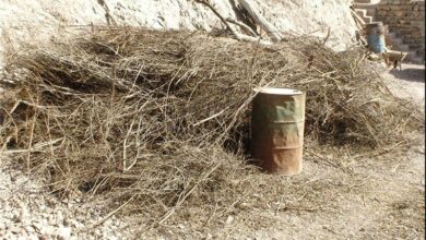 دلیل آتشسوزی ۱۰۰ هکتاری منطقه سرخآباد زنجان چه بود؟