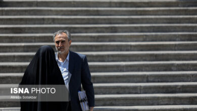 دهقان: نقض حقوق زنان را در سطوح عالی پیگیری میکنیم