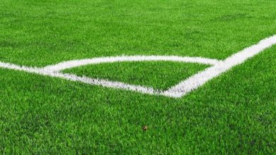 دولت توجه ویژهای به توسعه ورزش روستایی دارد