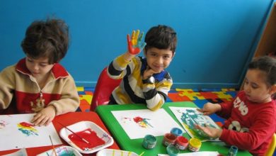 سازمان ملی تعلیم و تربیت مکلف به تدوین برنامه تنوعبخشی مدلهای مهدکودک شد