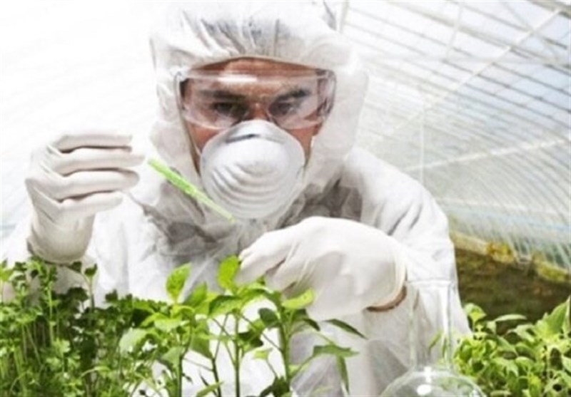 شبکه تخصصی انتقال یافتههای گیاه پزشکی راه اندازی شد