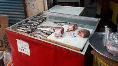 صادرات ۱۴۰۶ تن ماهی و خوراک آبزیان به خارج/ ۷۹ تن فرآورده دامی غیرمجاز کشف شد