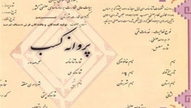 صدور بیش از ۵۰۰۰ فقره پروانه کسب صنفی در استان بوشهر