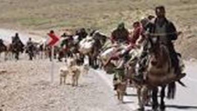 طرح عضویت عشایر کوچنده در شرکتهای تعاونی انجام میشود